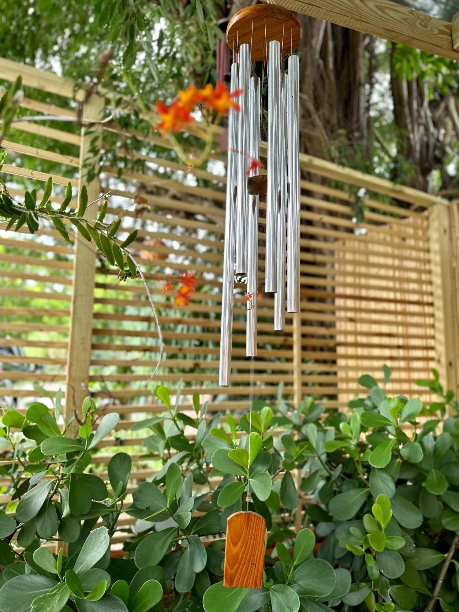 Flora'S Garden Apartment/Studio North Miami Exterior foto